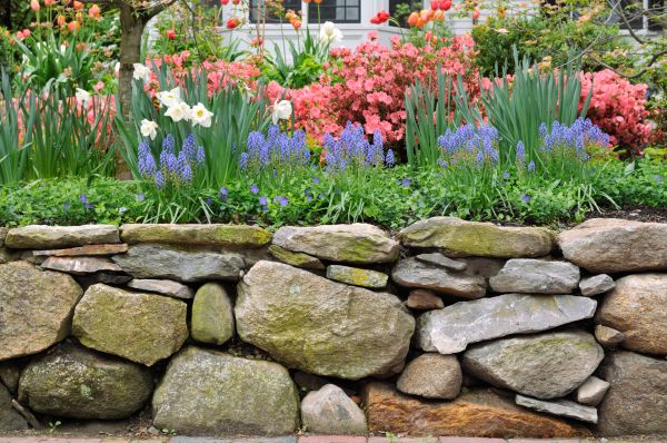 Stone Wall Hardscaping in Scranton