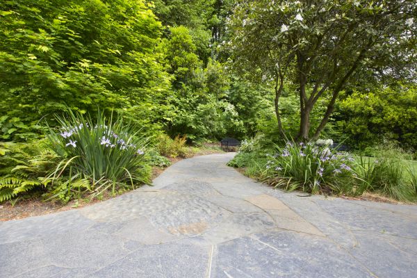 Stone Hardscape Service in Scranton